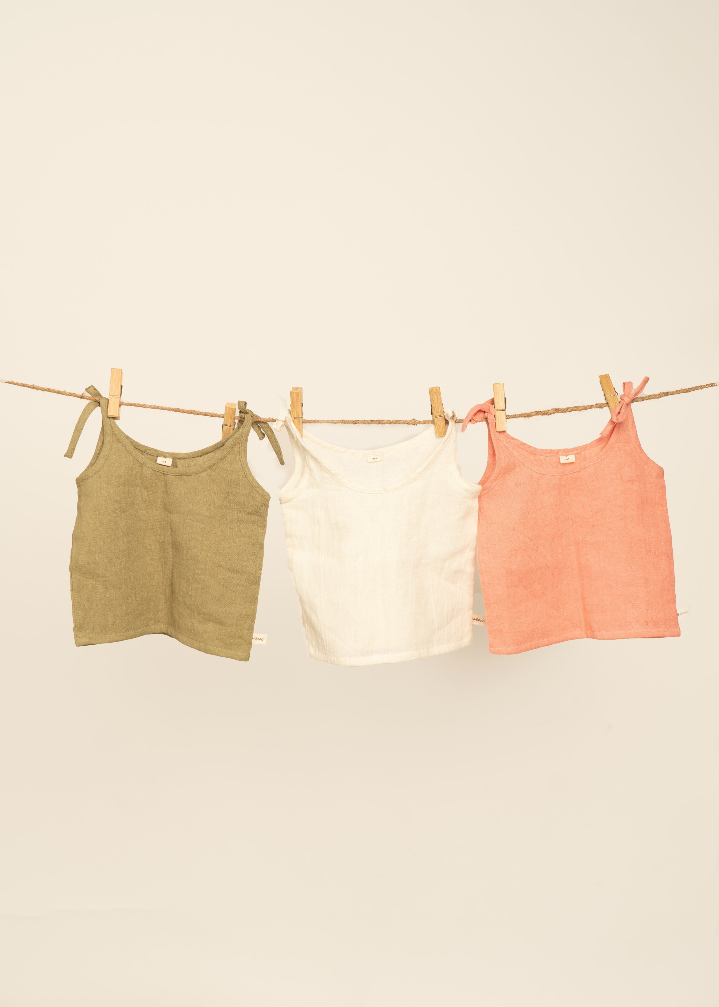 Fern (set of 3)